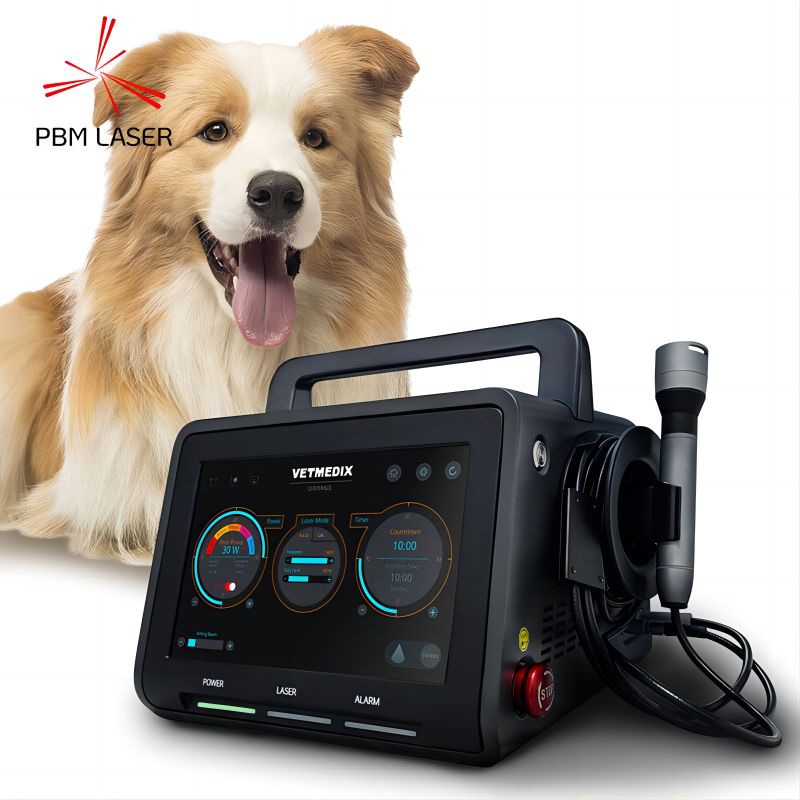 Laser thú y có thể được sử dụng để điều trị những tình trạng nào?