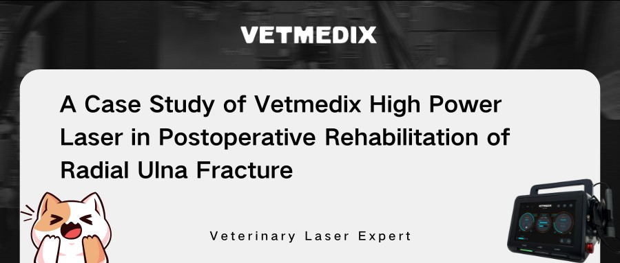 Chia sẻ trường hợp Vetmedix Trị liệu bằng laser công suất cao trong phục hồi chức năng sau phẫu thuật